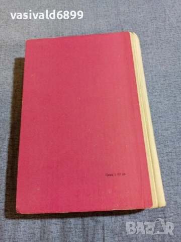 Никола Голанов - В бурята , снимка 3 - Българска литература - 55160983