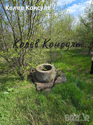 Къща село Сталево , снимка 4 - Къщи - 54607211
