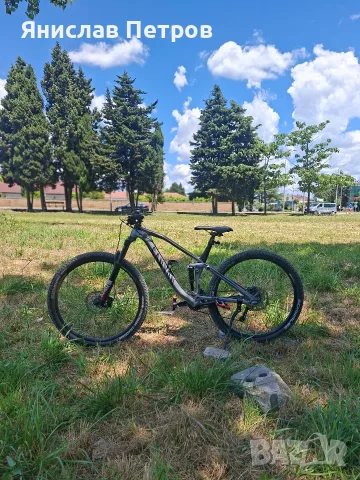 canyon neuron 29'