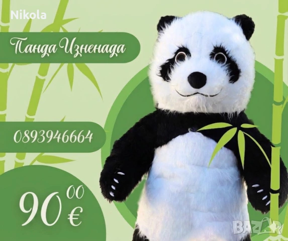 Парти Изненада със Стич, Панда и Мече, снимка 2 - Други - 54231567