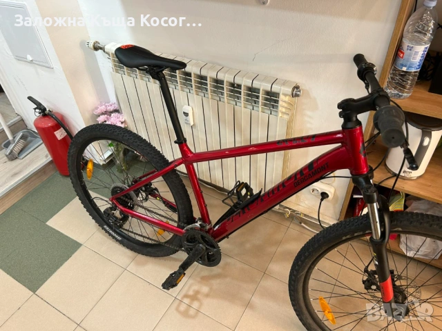 Bergamont Revox 2