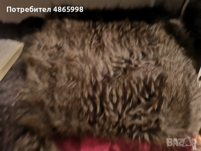 Еко одеяла увертюри за спалня 220на 240 см, снимка 3 - Олекотени завивки и одеяла - 55125216