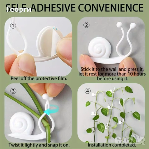 Продавам Сциндапсус – красива падаща зеленина, снимка 11 - Стайни растения - 54138148