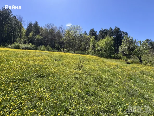 Топ Панорамен парцел с.Тополово, снимка 6 - Парцели - 55383165