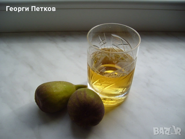 Смокини pазсад в кофичка, с височина 30-40см.-5 €/бр., снимка 5 - Градински цветя и растения - 54489193