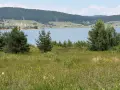 УПИ на първа линия на язовир Батак, снимка 1