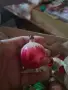 Стъклени играчки за елха , снимка 11
