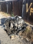kia Opirus 3,5 V6 на части, снимка 1