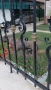Кучета Кане Корсо, снимка 13