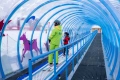 Транспортни ПЪТЕЧКИ за зимен и летен туризъм, снимка 9