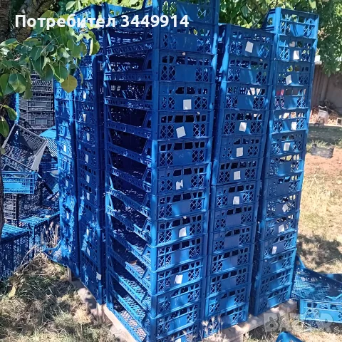 Пластмасови касетки 30х50х10 щайги