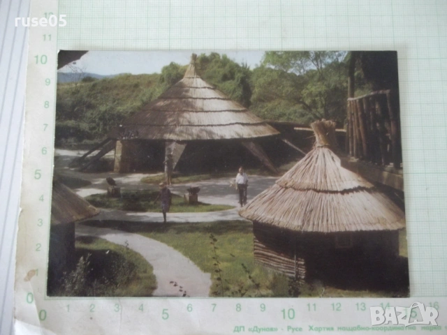 Картичка "АРКУТИНО - Бар *Лилия*"