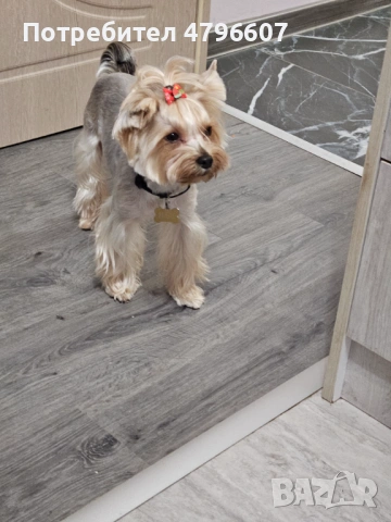 Търсим партньорка