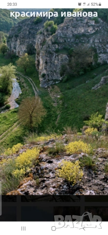 Къща в село Сваленик , снимка 16 - Къщи - 51694839