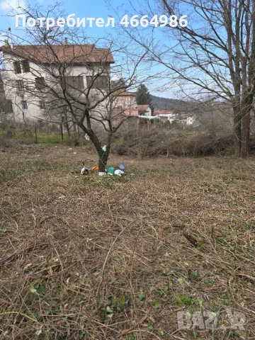Почистване на мази тавани апартаменти почистване на дворни места парцели, снимка 12 - Други почистващи услуги - 55340024