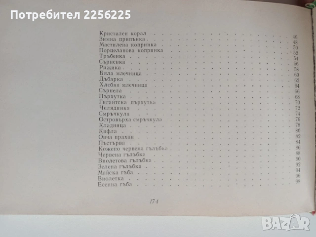 Диворастящи гъби, снимка 5 - Специализирана литература - 55104478