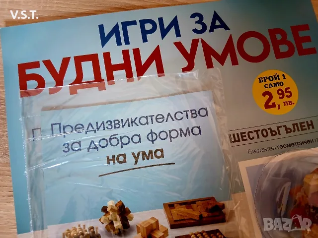 Игри за будни умове - Шестоъгълен Бър - брой 1 , снимка 2 - Други ценни предмети - 55605527