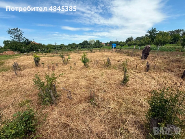 Продавам къща село Ведрина област Добрич, снимка 4 - Къщи - 54754545