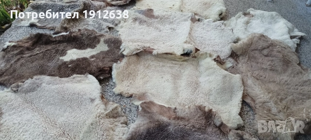 Продавам щавени и боядисвани агнешки кожи около 20 броя.Намират най различни приложения , снимка 4 - Други - 54445336
