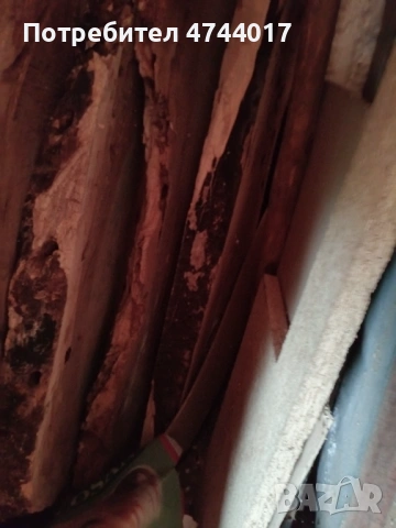 Сухи Талпи от Орех , снимка 8 - Други - 54011466