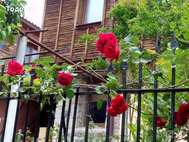 Стаи в центъра на Стария Град на СОЗОПОЛ, снимка 16 - Квартири, нощувки - 54454002