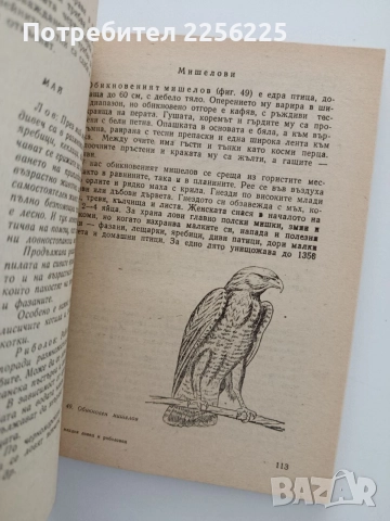 За младия ловец и риболовец, снимка 2 - Специализирана литература - 54928629