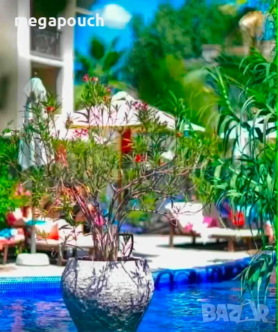 Луксозен студио апартамент в известния 4★ Cascadas Family Resort, снимка 4 - Апартаменти - 54974625