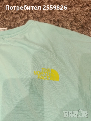 Мъжка блуза The North Face, снимка 5 - Блузи - 54995898