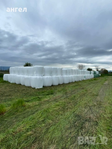 Рулонни бали люцерна сенаж 