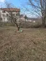 Почистване на мази тавани апартаменти почистване на дворни места парцели, снимка 12
