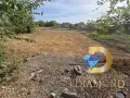 Парцел в село Горски Извор, общ. Димитровград, снимка 3