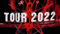 Slipknot Tour 2022 Тениска / Оригинален мърч, снимка 5