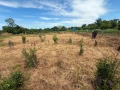 Продавам къща село Ведрина област Добрич, снимка 4
