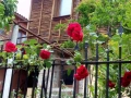 Стаи в центъра на Стария Град на СОЗОПОЛ, снимка 16