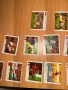 Картинки Cincin football , снимка 3