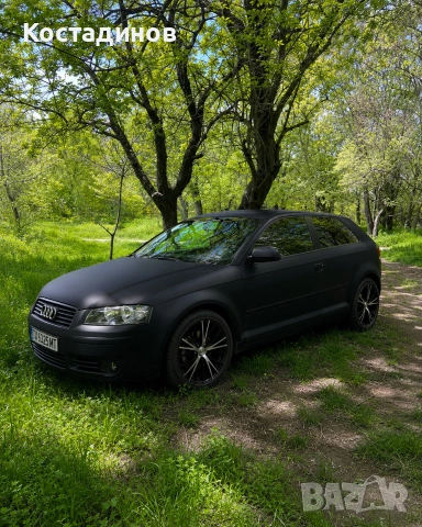Audi A3 8p 2.0TDI