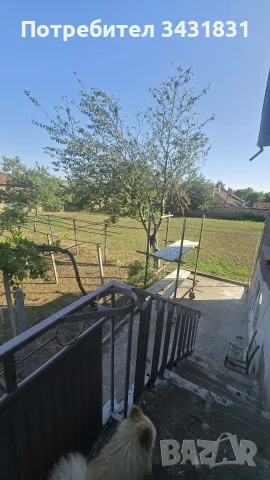 Голяма къща с голям двор в с. Долна Липница с кладенец, цена 55 000€, снимка 18 - Къщи - 55461875
