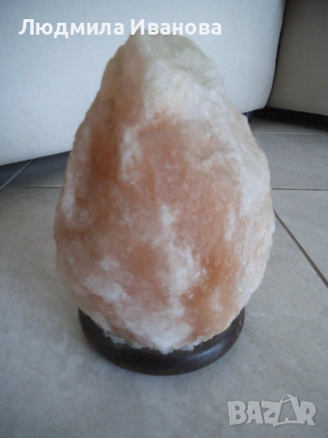 Декорация за дома и градината