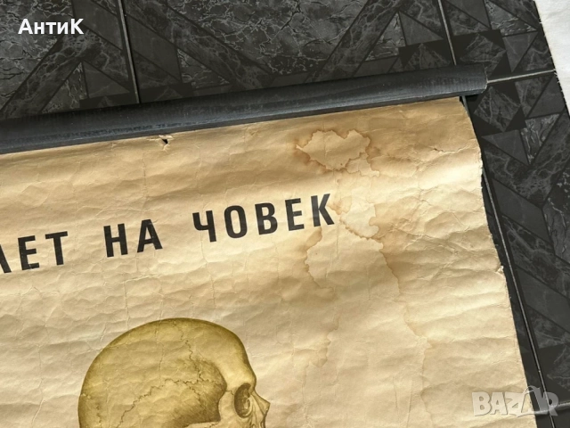 Соц Учебни Медицински Плакати Постери Табла, снимка 10 - Антикварни и старинни предмети - 55690953