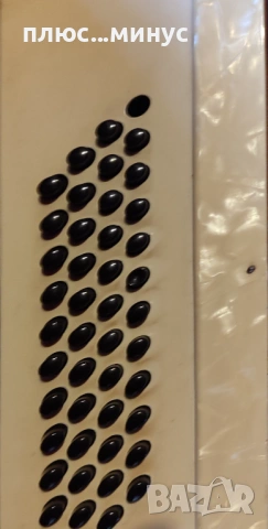 Продавам акордеон, снимка 2 - Акордеони - 54287957