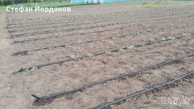 Оранжериино стопанство, снимка 14 - Земеделска земя - 50874276
