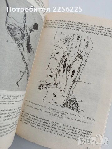 Клинична невро - вегетология, снимка 2 - Специализирана литература - 54098258