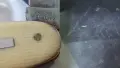 Ножка слонова кост , снимка 4