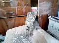 Търсим дом за Леа, снимка 9