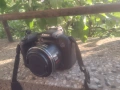 Canon PowerShot SX1 IS — bridge (суперзум) фотоапарат на Canon, снимка 1