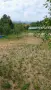 Продава се УПИ 2577кв.м.Поповци, снимка 3
