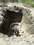 строителни услуги , снимка 2