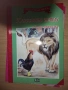 Книжки "Мога сам да чета" с едър шрифт, изд. ПАН, снимка 7