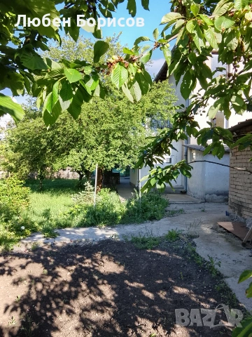 Къща с. Белопопци, снимка 4 - Къщи - 54955731
