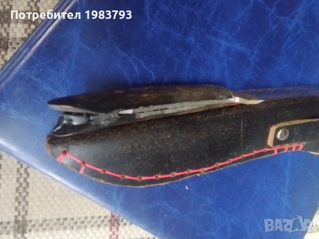 Майсторски нож от биволски рог и красива ръчно рисувана орнаментика и кания., снимка 5 - Ножове - 54691267